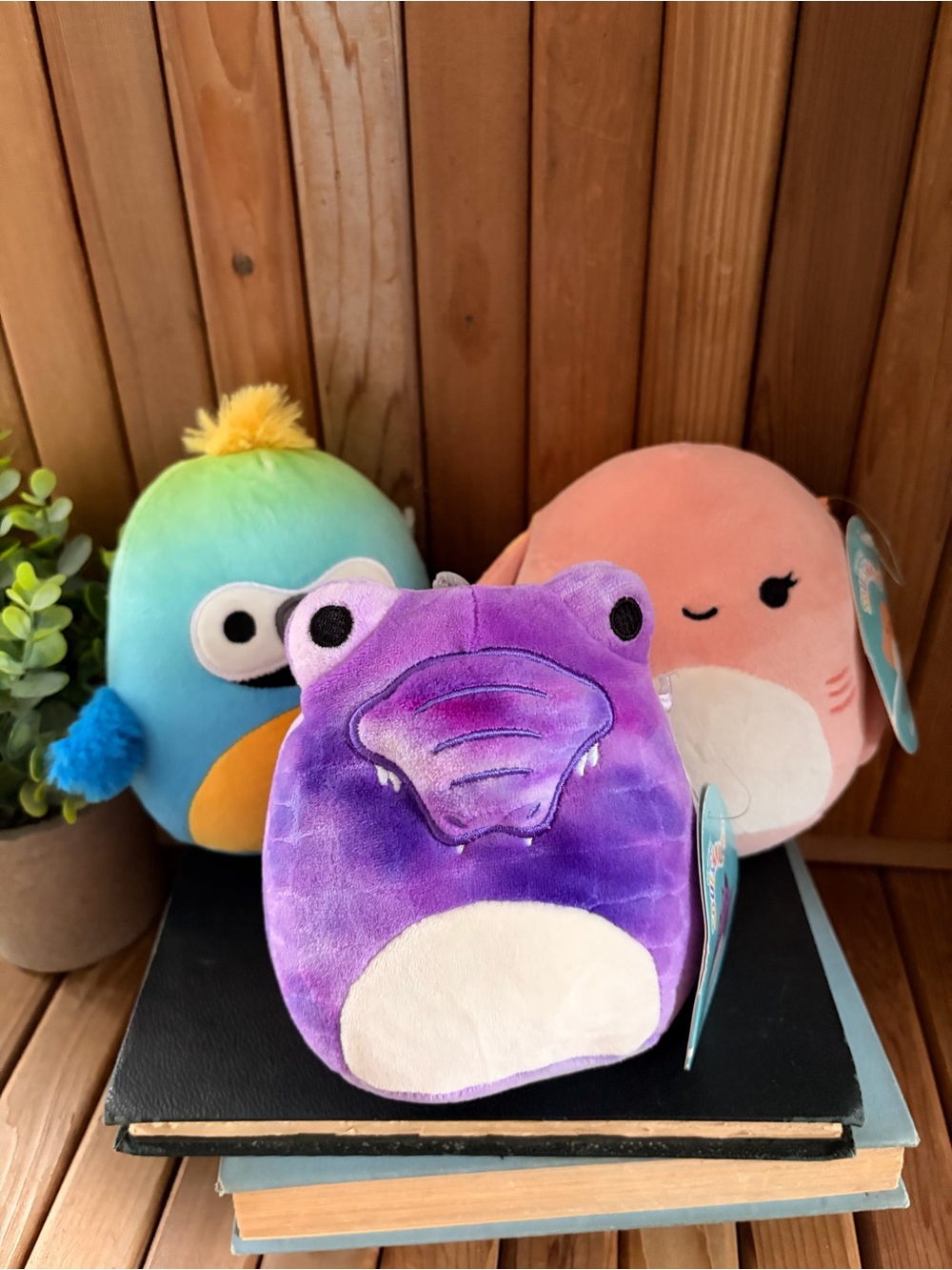 Squishmallows Plush Exotic Animals: Dove, Ludovica, Baptise, Bundle of 3, NWT